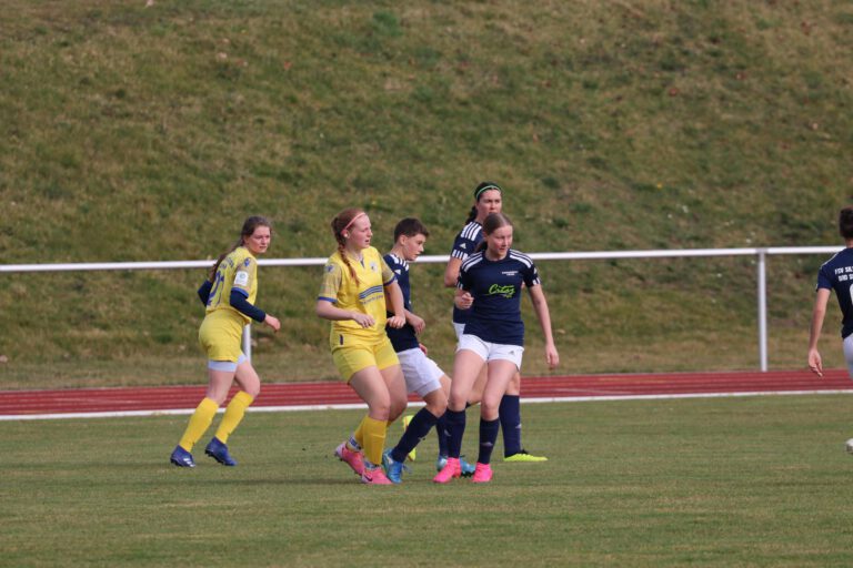 Wieder in der Spur !